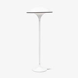 Fontana Modern Standing Lamp with Saucer Shade and Metal Pole for Ambient Lighting
