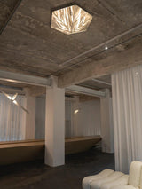 Fragment Textured Glass Ceiling Light Chrome Modern Gothic Architectural LED Lamp