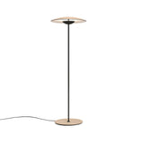 Modern Adjustable LED Floor Lamp with Directional Suspension and Aluminum Frame