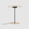Contemporary Minimalist Woodgrain LED Table Lamp for Modern Office and Bedside