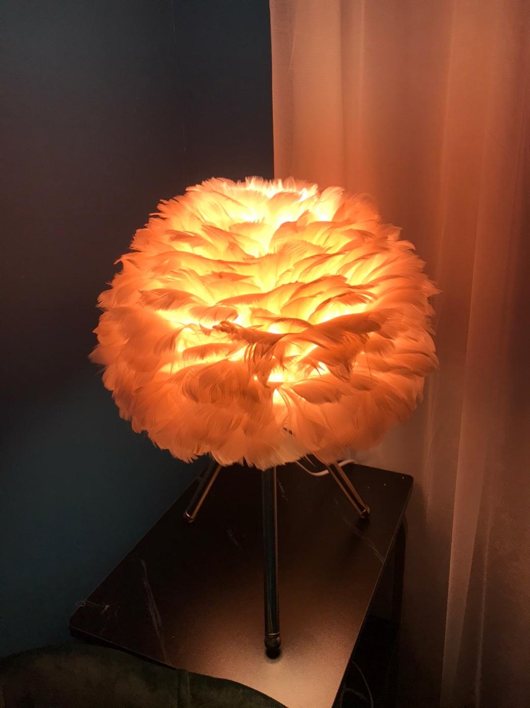 Romantic Goose Feather Desk Lamp with Metal Tripod Stand for Bedside and Accent Lighting
