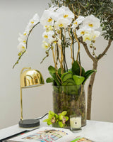 Grant Modern Marble Base Table Lamp with Adjustable Tilt Metal Shade for Bedside and Living Room