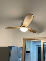 Modern LED Integrated Ceiling Fan with Wood Blades and Remote Control Light