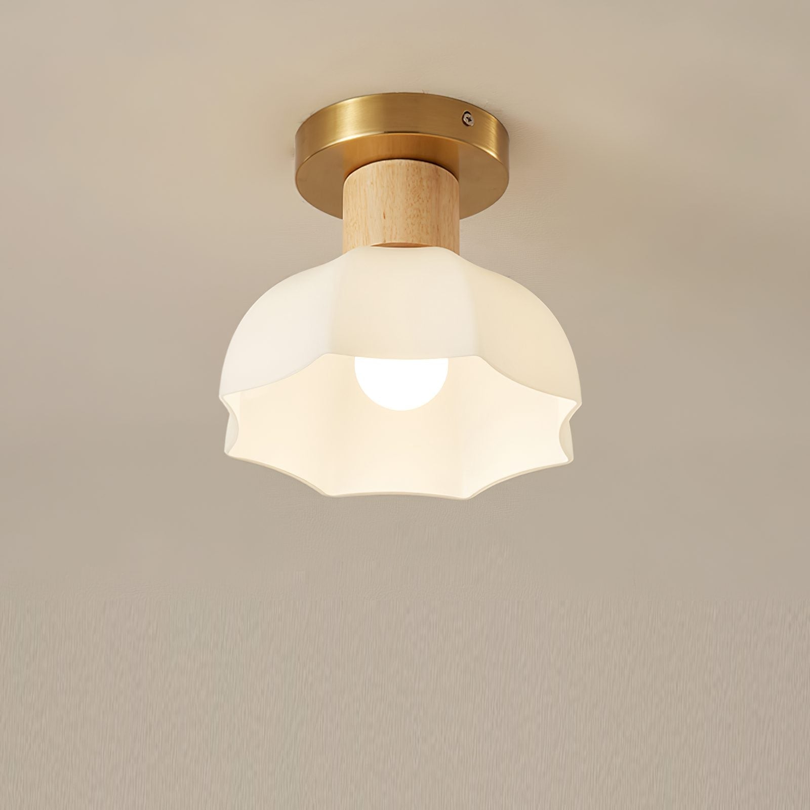 modern-horn-shaped-small-ceiling-lamp-with-wood-accents-and-glass-shade