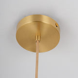 modern-circular-glass-pendant-light-with-brass-finish-and-integrated-led-spotlight