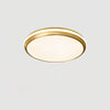 Jameson Modern Slim LED Flush Mount Ceiling Light Brass and Acrylic Fixture