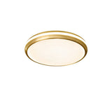 Jameson Modern Slim LED Flush Mount Ceiling Light Brass and Acrylic Fixture
