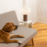 Modern Laguna Spherical Hand Blown Glass Table Lamp with Gold Aluminum Base