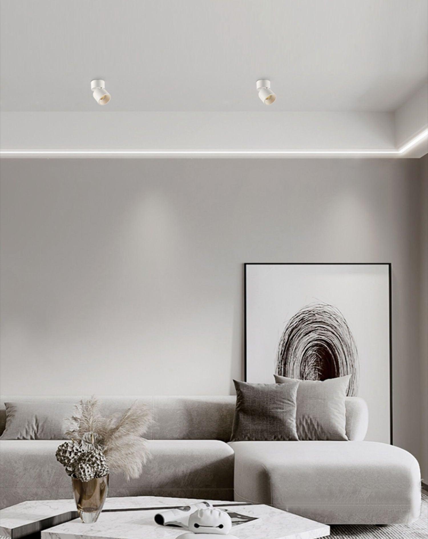 Lara2 Adjustable LED Ceiling Downlight Modern Aluminum Surface Mounted Spotlight