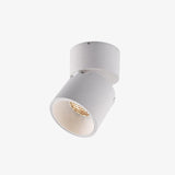 Lara2 Adjustable LED Ceiling Downlight Modern Aluminum Surface Mounted Spotlight