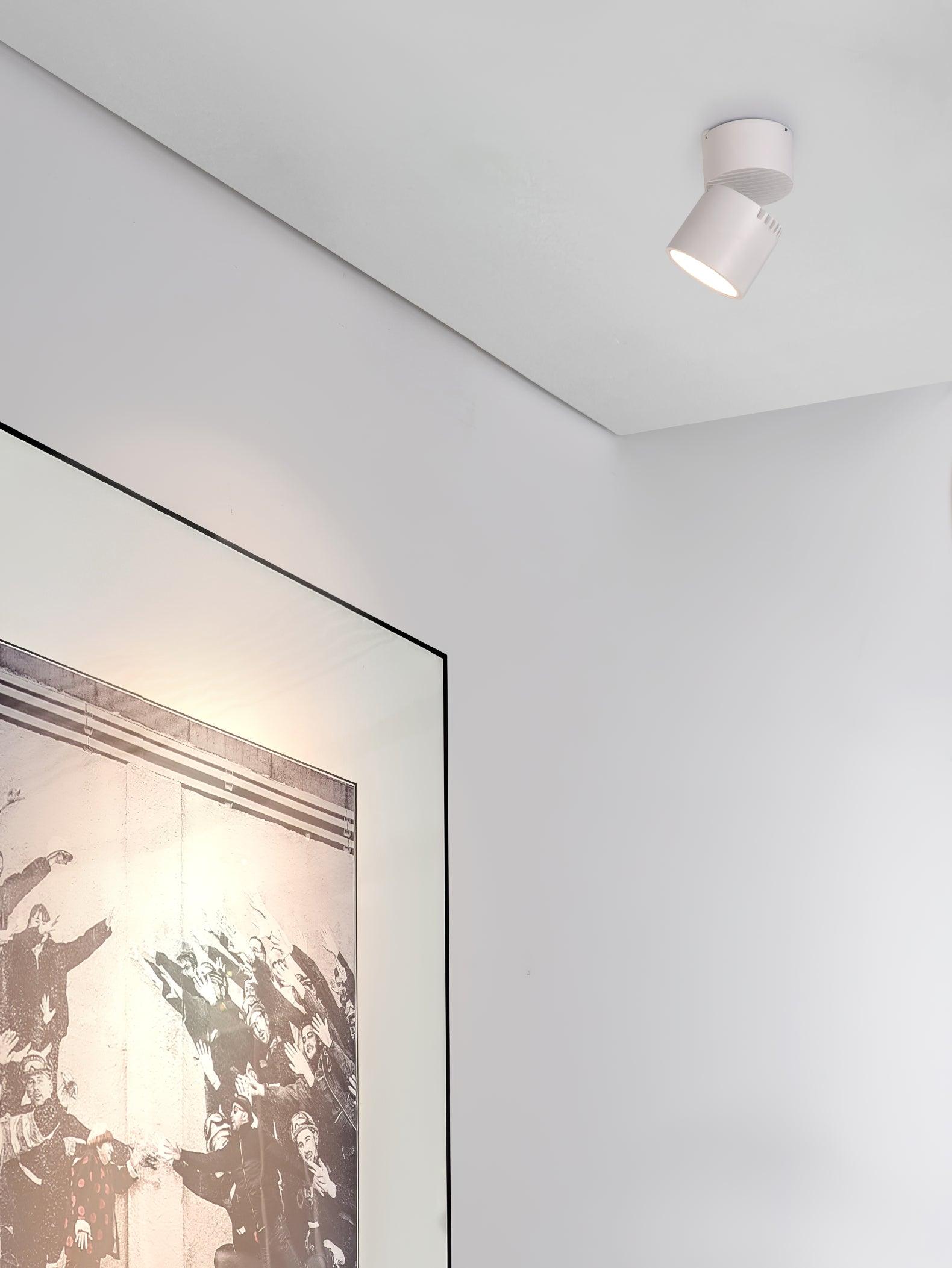 Lara2 Adjustable LED Ceiling Downlight Modern Aluminum Surface Mounted Spotlight