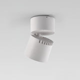 Lara2 Adjustable LED Ceiling Downlight Modern Aluminum Surface Mounted Spotlight