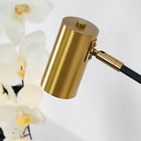 Lektor Modern Adjustable Table Lamp Articulated Reading Light for Office Gold and Black