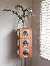 Vintage Photography Inspired Cherry Wood and Glass Cinematic Lightbox Floor Lamp