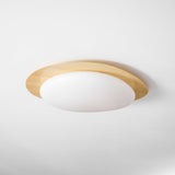 modern-pebble-shape-wood-grain-led-ceiling-light-for-contemporary-home-interiors