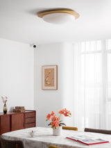 modern-pebble-shape-wood-grain-led-ceiling-light-for-contemporary-home-interiors