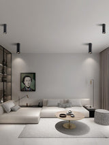 modern-rotating-cylinder-tube-downlight-with-ring-detail-adjustable-led-spot-lighting