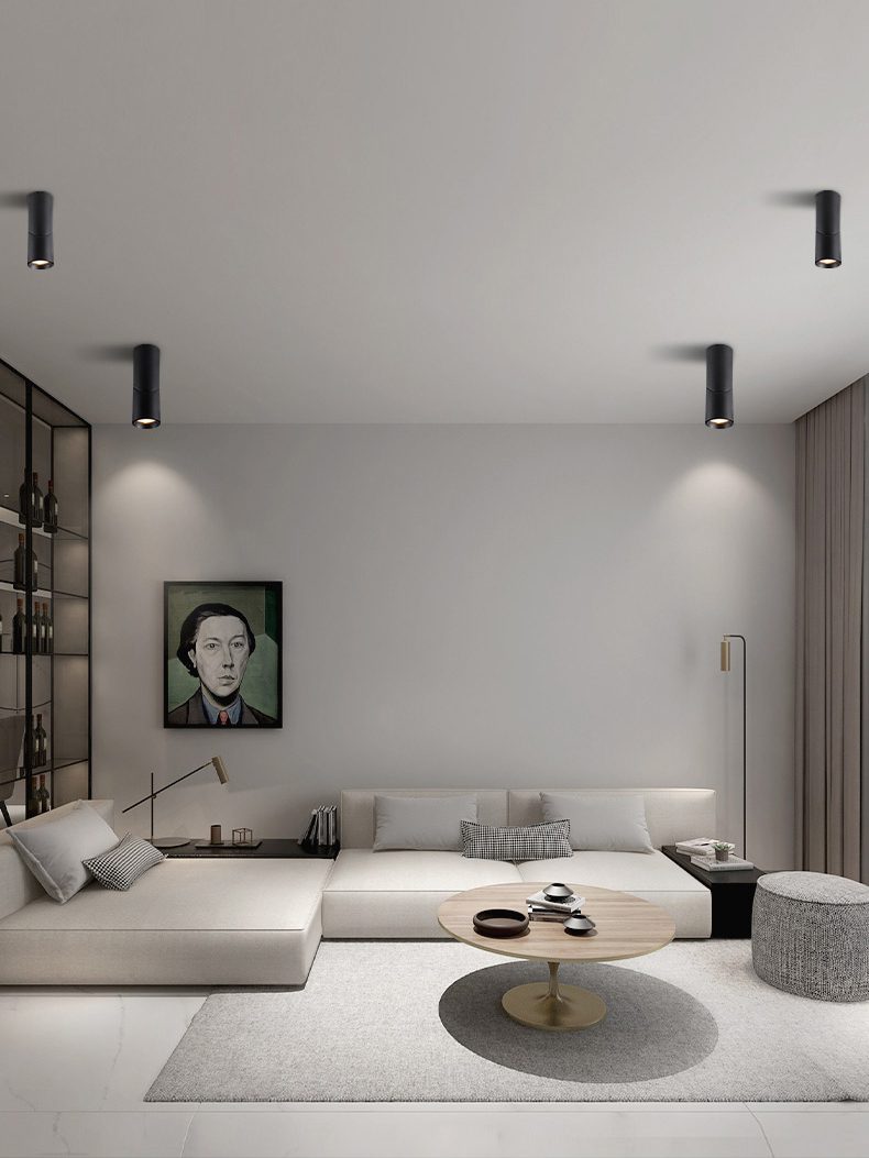 modern-rotating-cylinder-tube-downlight-with-ring-detail-adjustable-led-spot-lighting
