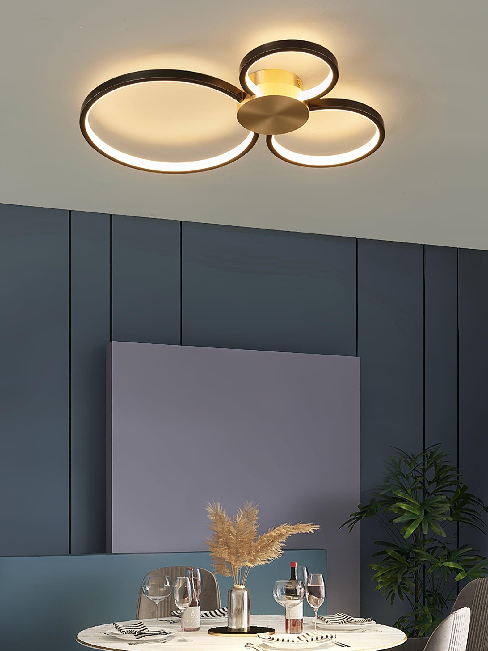 Minimalist Circular LED Loop Ceiling Fixture Modern Geometric Interior Lighting