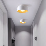 Modern Spherical Glass Globe Flush Mount Ceiling Light with Wood Grain Trim
