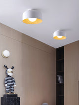 Modern Spherical Glass Globe Flush Mount Ceiling Light with Wood Grain Trim