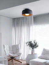 Modern Spherical Glass Globe Flush Mount Ceiling Light with Wood Grain Trim