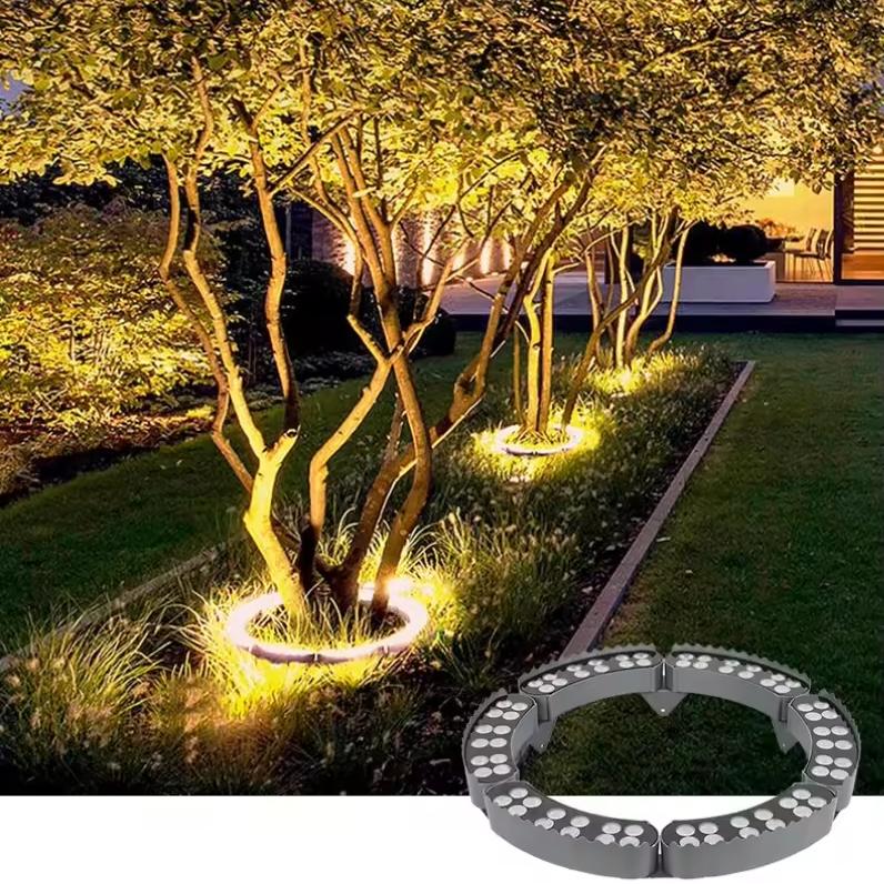 Outdoor Lights