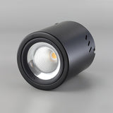 Maxi Rebel Surface Mounted LED Ceiling Spotlight for Modern Interior Lighting