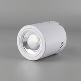 Maxi Rebel Surface Mounted LED Ceiling Spotlight for Modern Interior Lighting