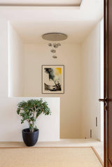 Modern Mercury Pebble LED Ceiling Lamp Sculptural Chrome Flush Mount Light Fixture