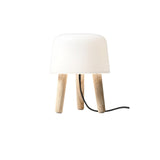 Modern Borosilicate Glass Globe Table Lamp with Solid Wood Tripod Base
