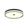 Modern Minimalist Brass and Acrylic Circular LED Flush Mount Ceiling Light