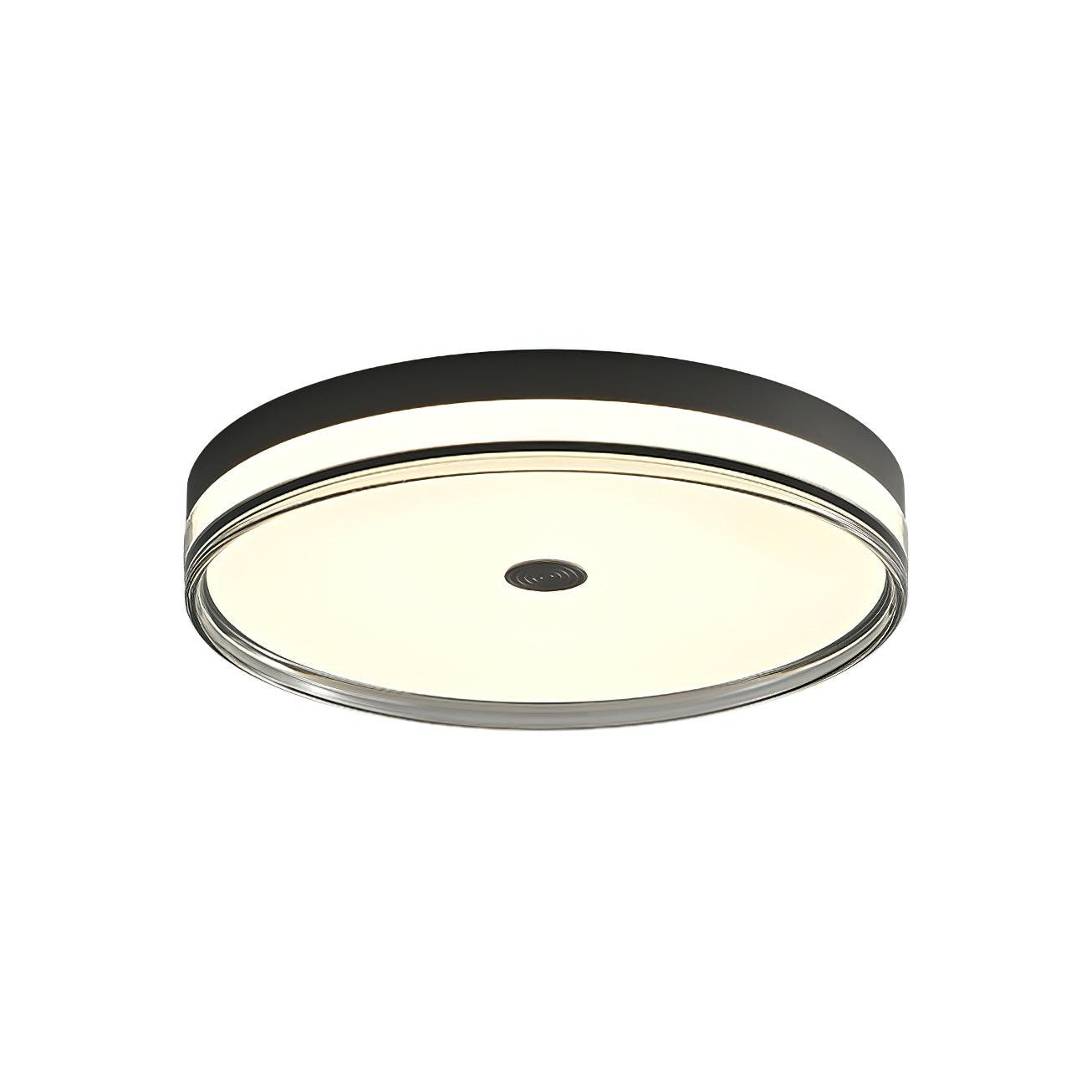 Modern Minimalist Brass and Acrylic Circular LED Flush Mount Ceiling Light