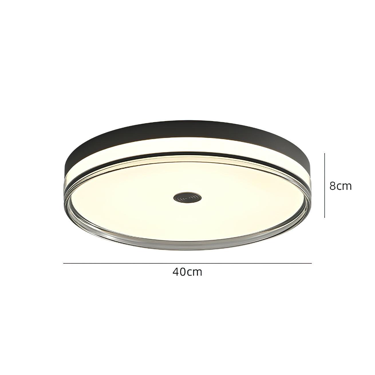 Modern Minimalist Brass and Acrylic Circular LED Flush Mount Ceiling Light