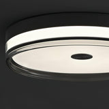 Modern Minimalist Brass and Acrylic Circular LED Flush Mount Ceiling Light