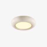 minimalist-oval-flush-mount-led-ceiling-light-fixture-with-three-color-temperatures
