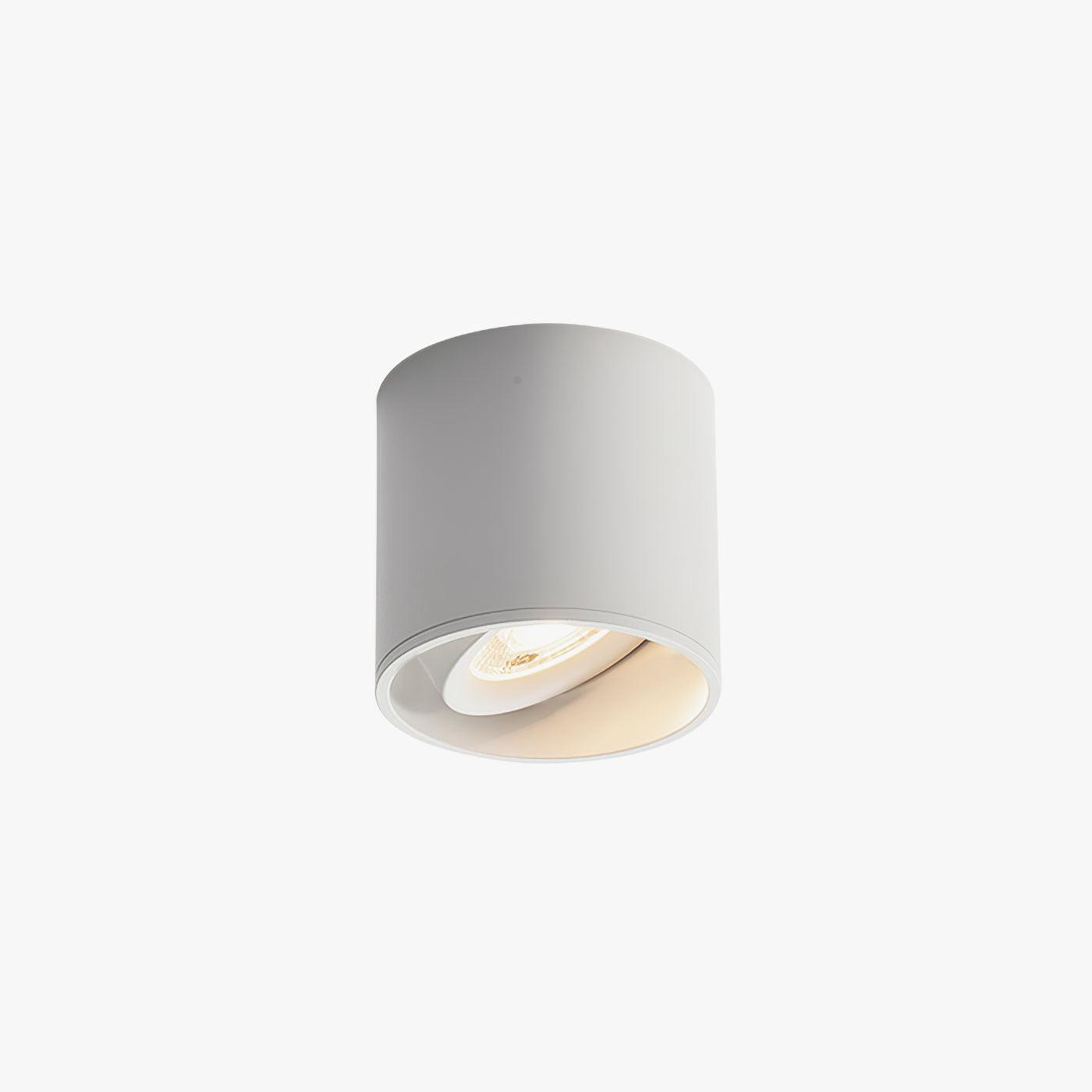 Minimalist Surface Mounted LED Ceiling Light with Aluminum Body and Ridged Accent