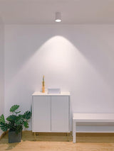 Minimalist Surface Mounted LED Ceiling Light with Aluminum Body and Ridged Accent