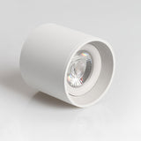 Minimalist Surface Mounted LED Ceiling Light with Aluminum Body and Ridged Accent