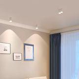Minimalist Surface Mounted LED Ceiling Light with Aluminum Body and Ridged Accent