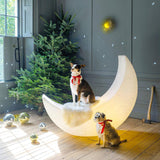 Large Moon Shaped Artistic Standing Floor Lamp for Serene Home Ambiance