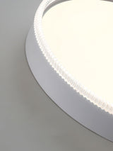 Modern Naxos Round LED Flush Mount Ceiling Light with Acrylic Edge for Low Ceilings