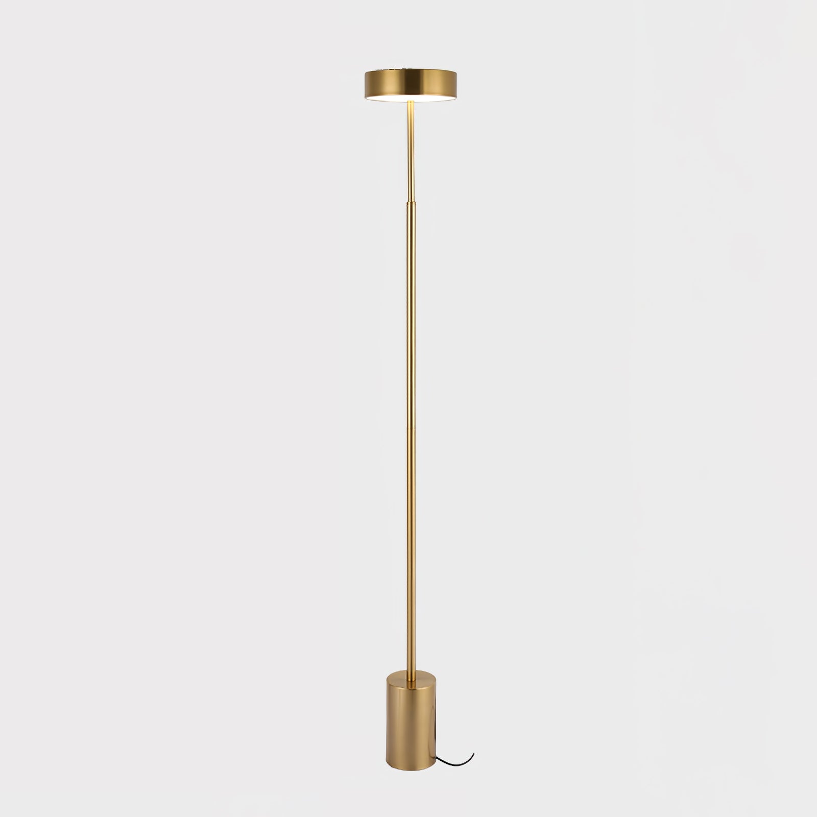 Naya Modern Rotatable LED Floor Lamp Minimalist Accent Standing Light for Reading