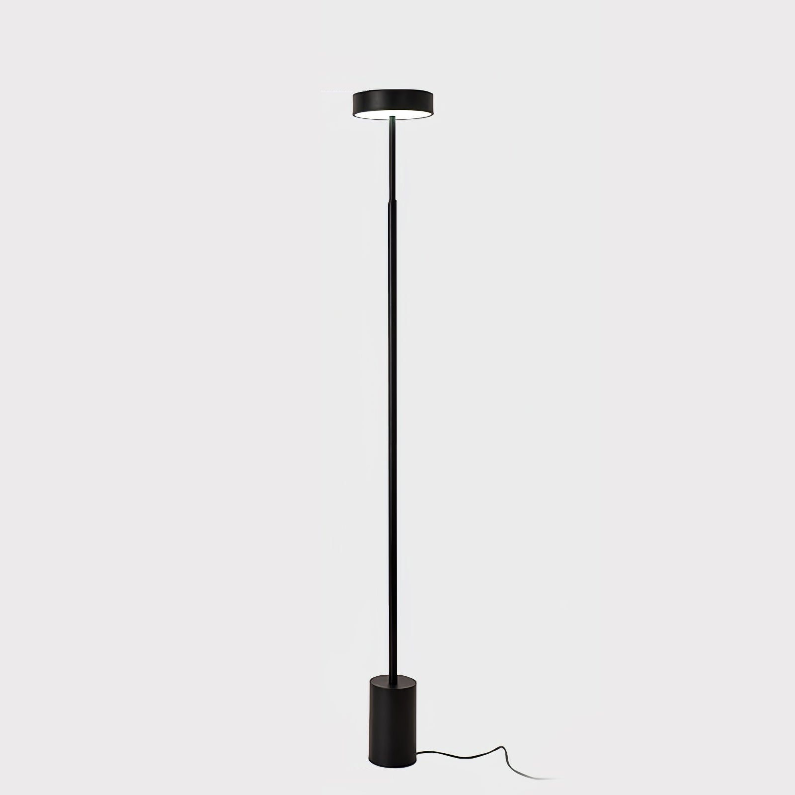 Naya Modern Rotatable LED Floor Lamp Minimalist Accent Standing Light for Reading