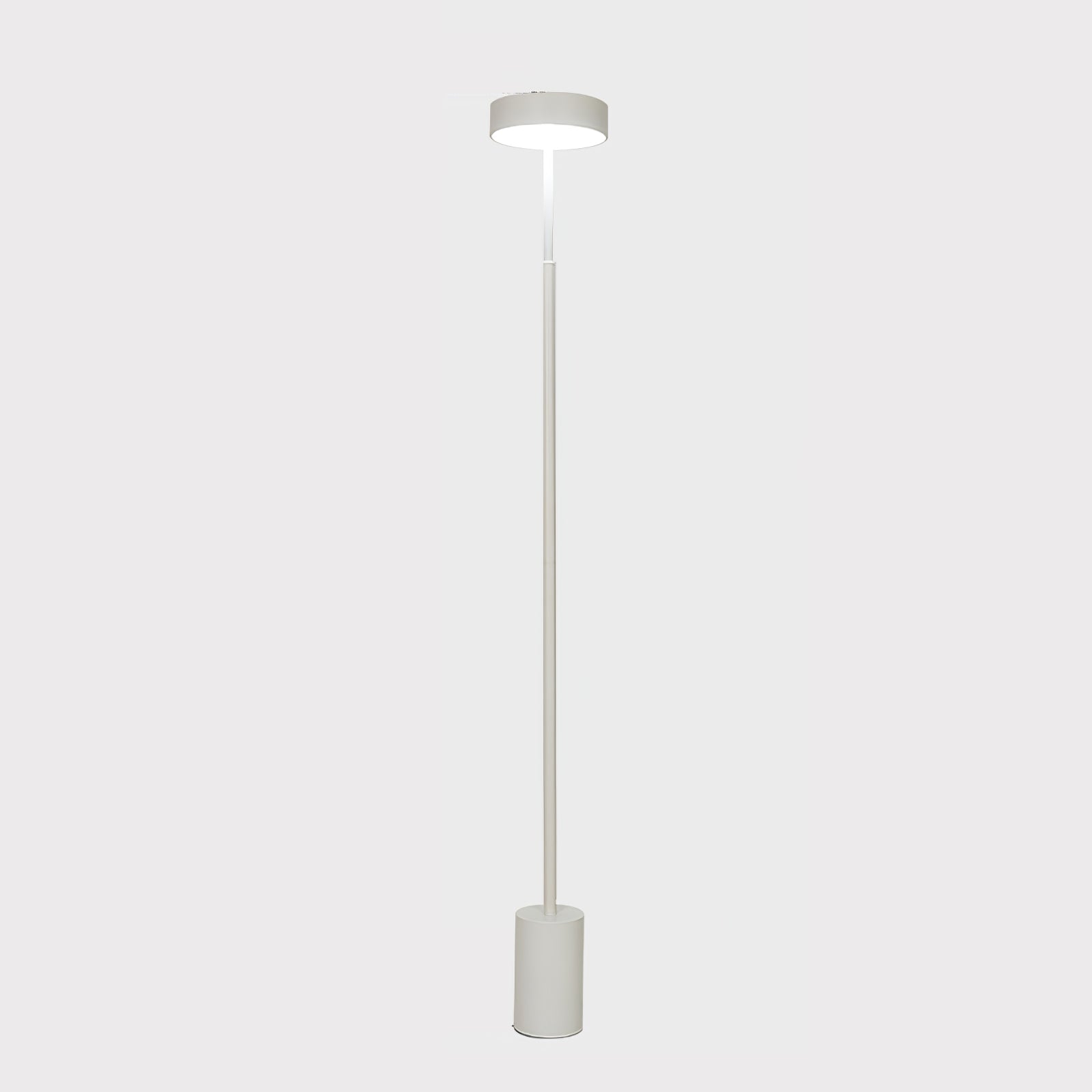Naya Modern Rotatable LED Floor Lamp Minimalist Accent Standing Light for Reading