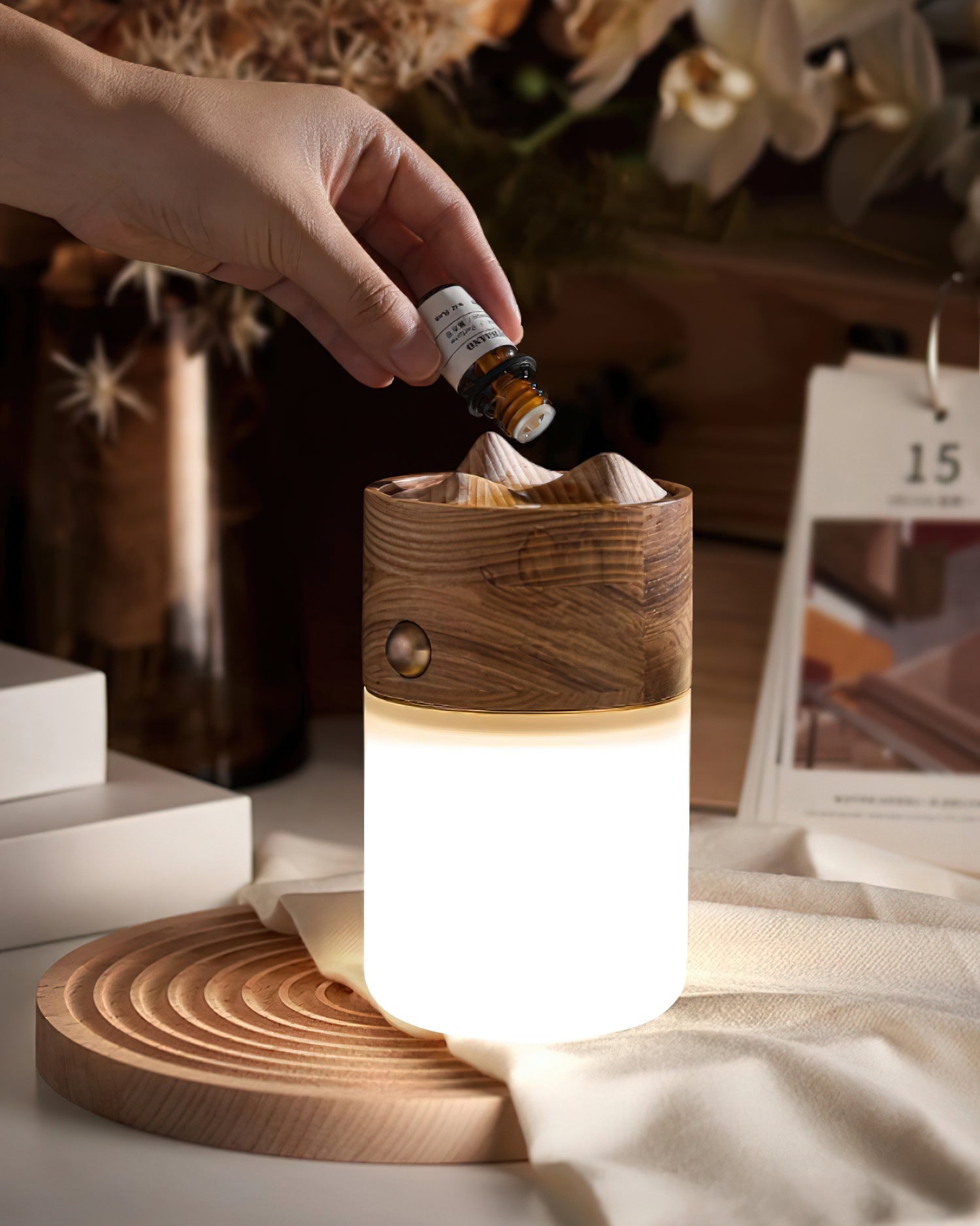 Modern Portable LED Lantern Table Lamp with Natural Wood Handle and USB Charging