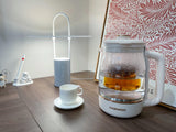 Nomade Modern Industrial Table Lamp with Carry Handle and Acrylic Diffuser for Bedside and Office