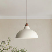 Modern Creative Pot-Shaped Pendant Light