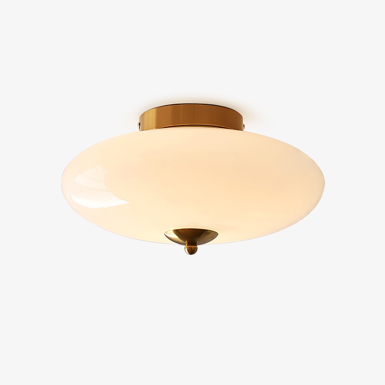 Modern Opal Glass LED Flush Mount Ceiling Lamp for Kitchen and Bathroom