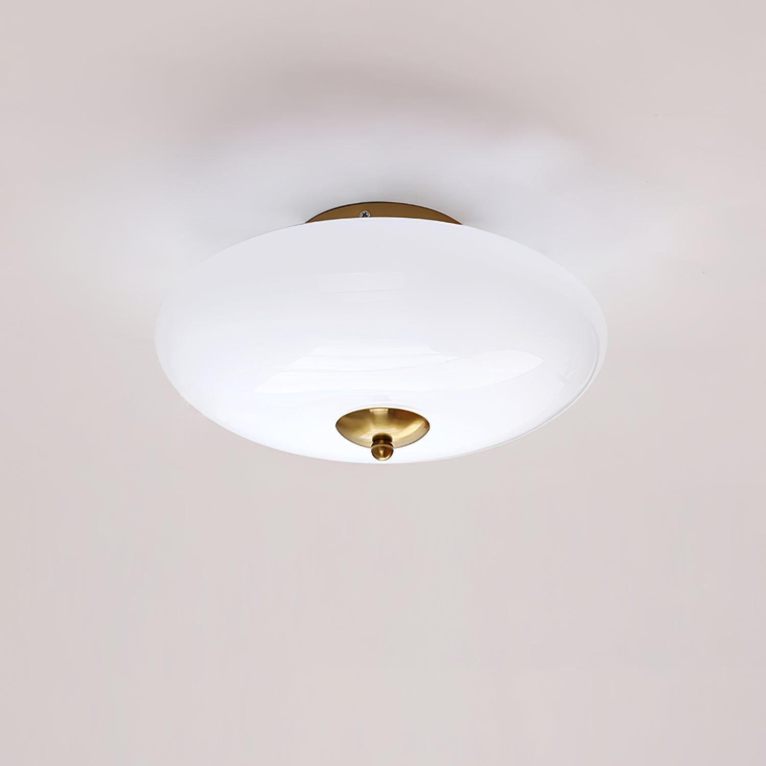Modern Opal Glass LED Flush Mount Ceiling Lamp for Kitchen and Bathroom